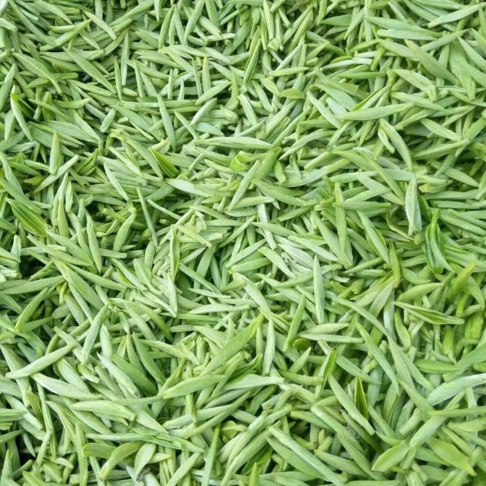 勿以善小而不为