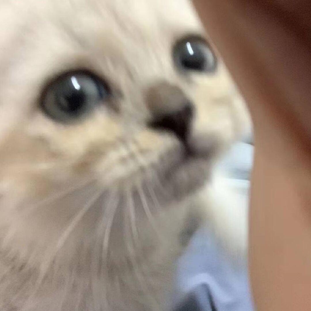 氯化钾