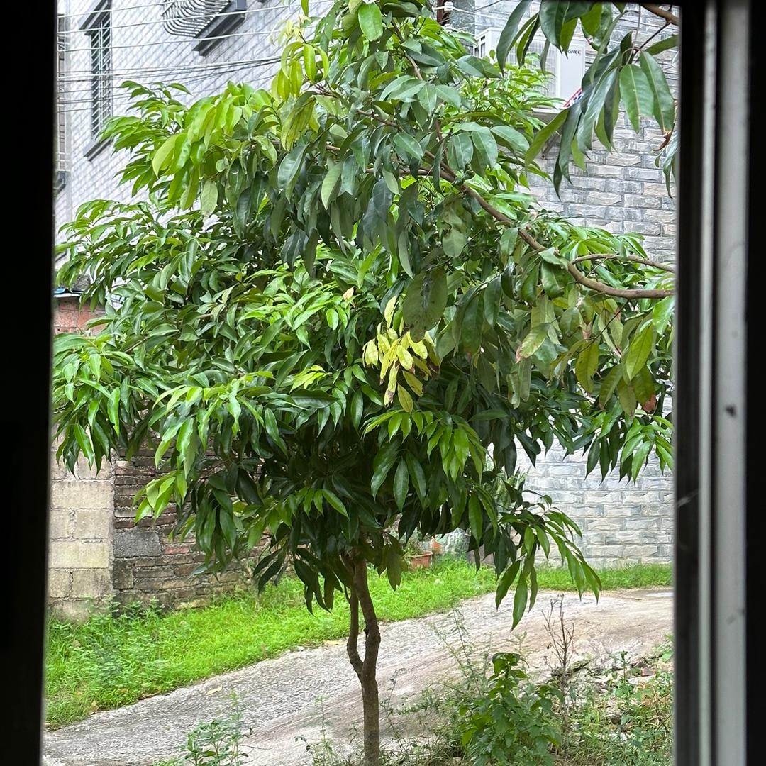 小静