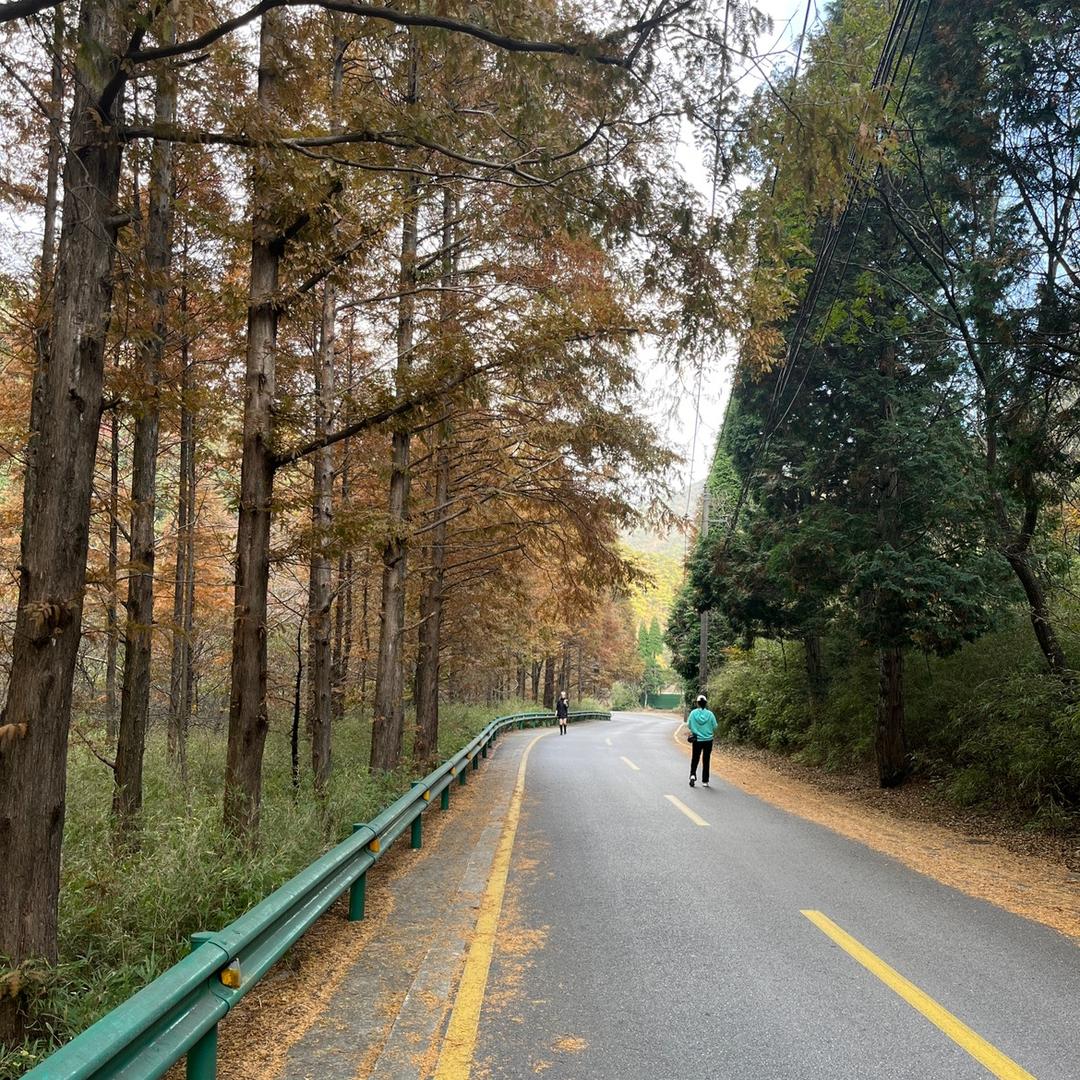 ⭐️空军一号⭐️