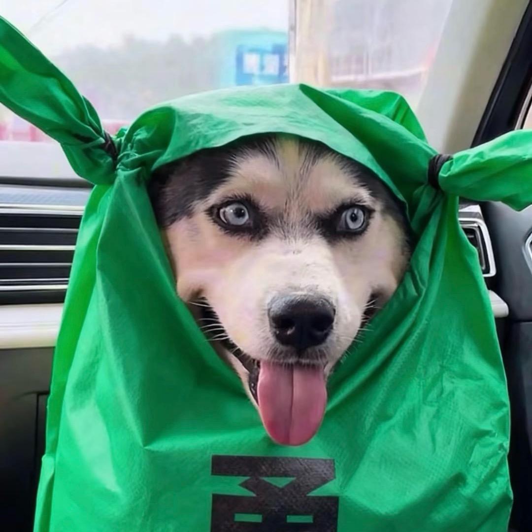 萱草