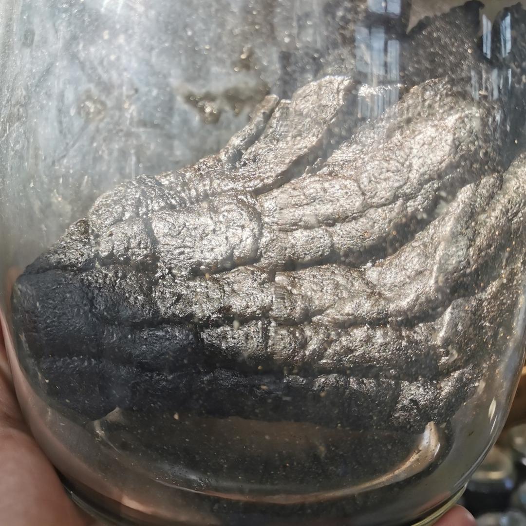 潮州特产老香黄