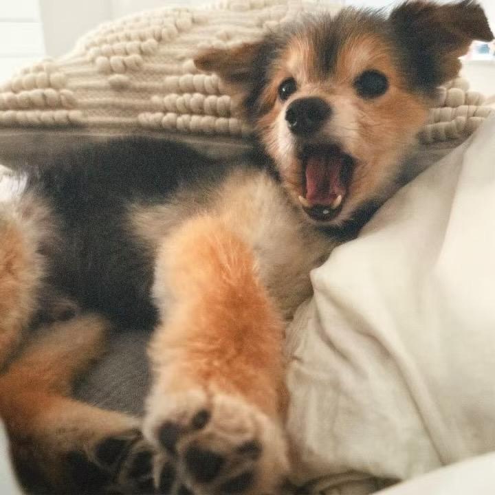 Roryyy