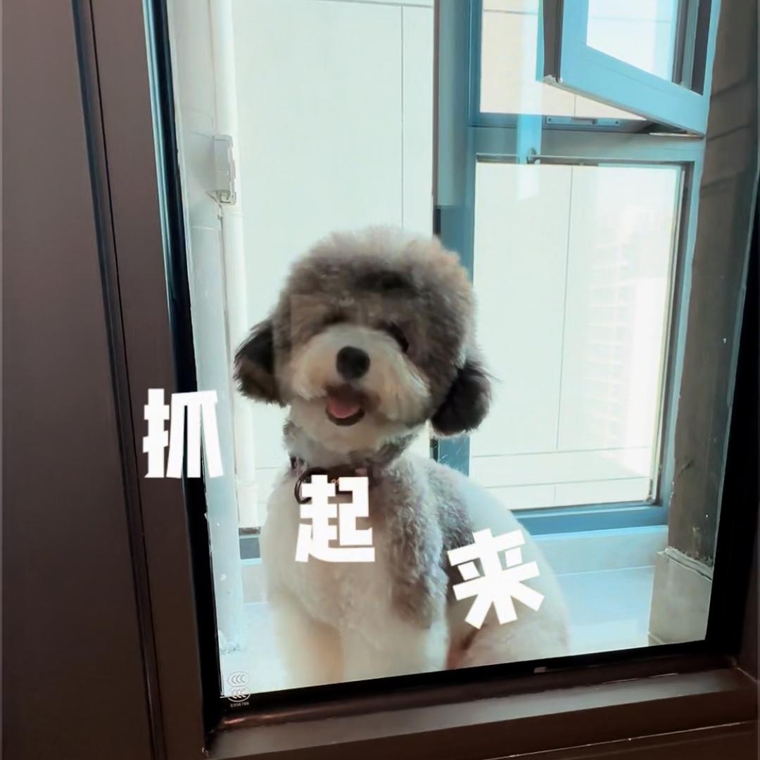 就是中年美少女