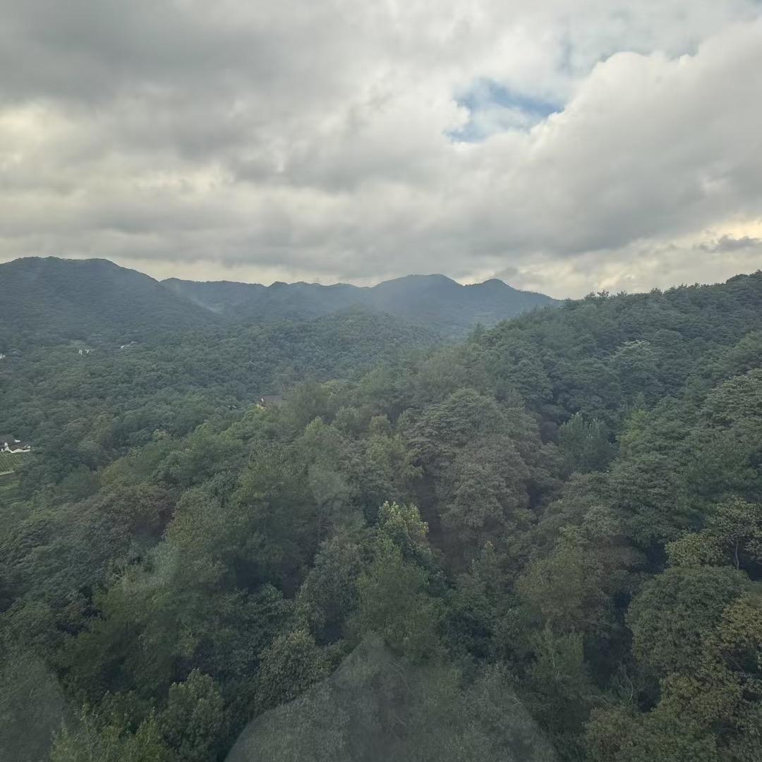 苍沫雷龙水族