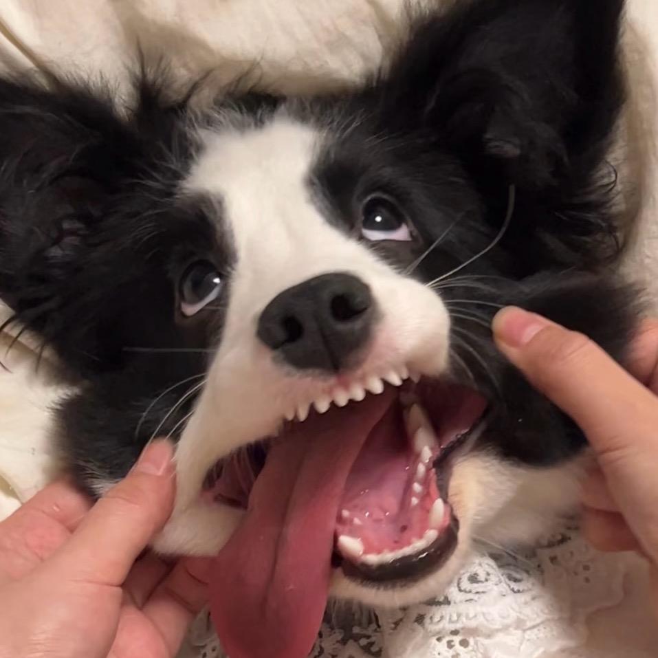 看到女的就烦