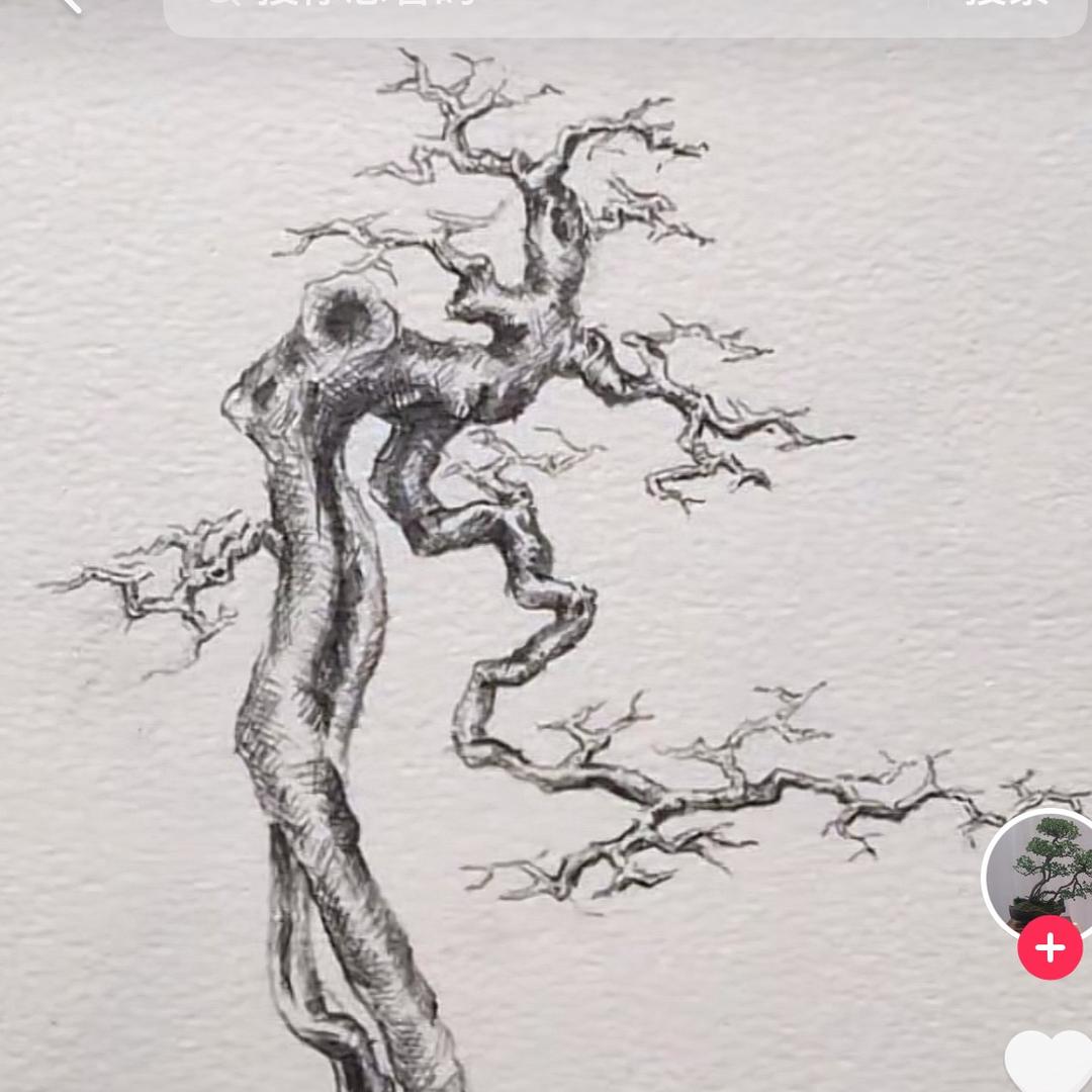 修心园