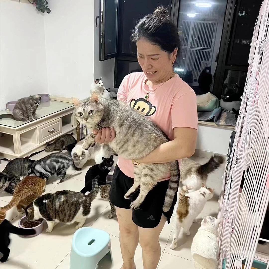 我是幸福的猫妈妈（它爱猫砂专场）