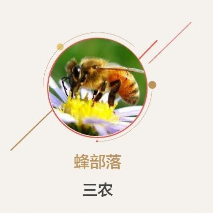 蜂部落