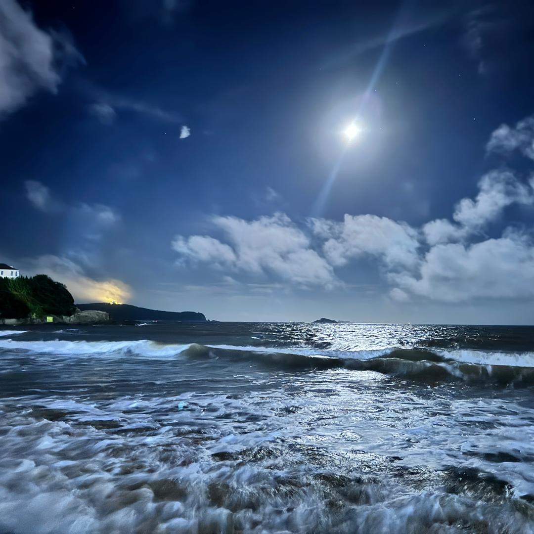 财神爷的心尖宠😎