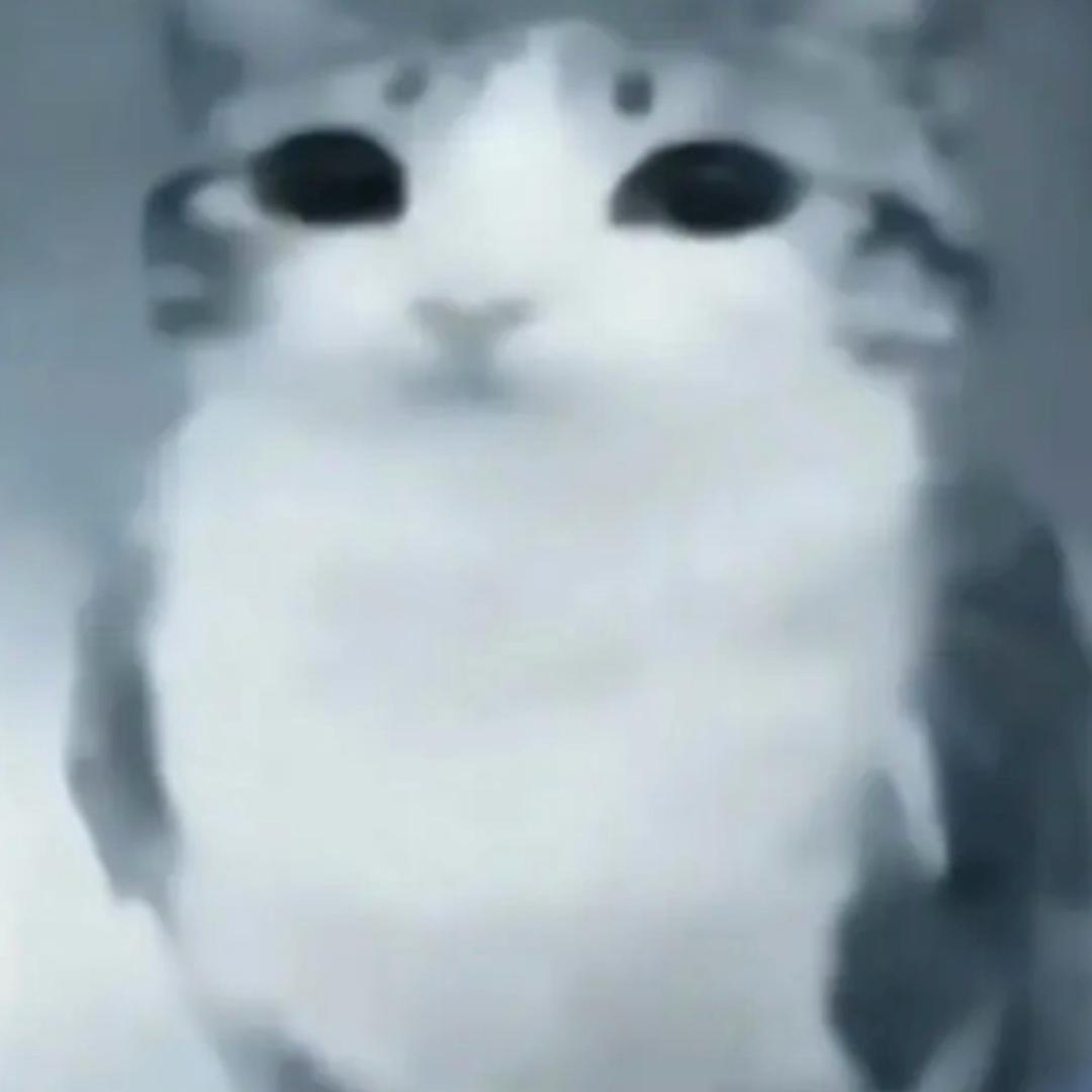 我困我困我好困