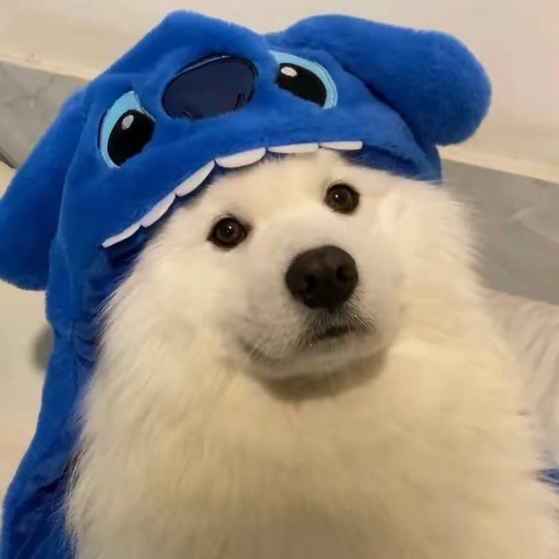保安王队