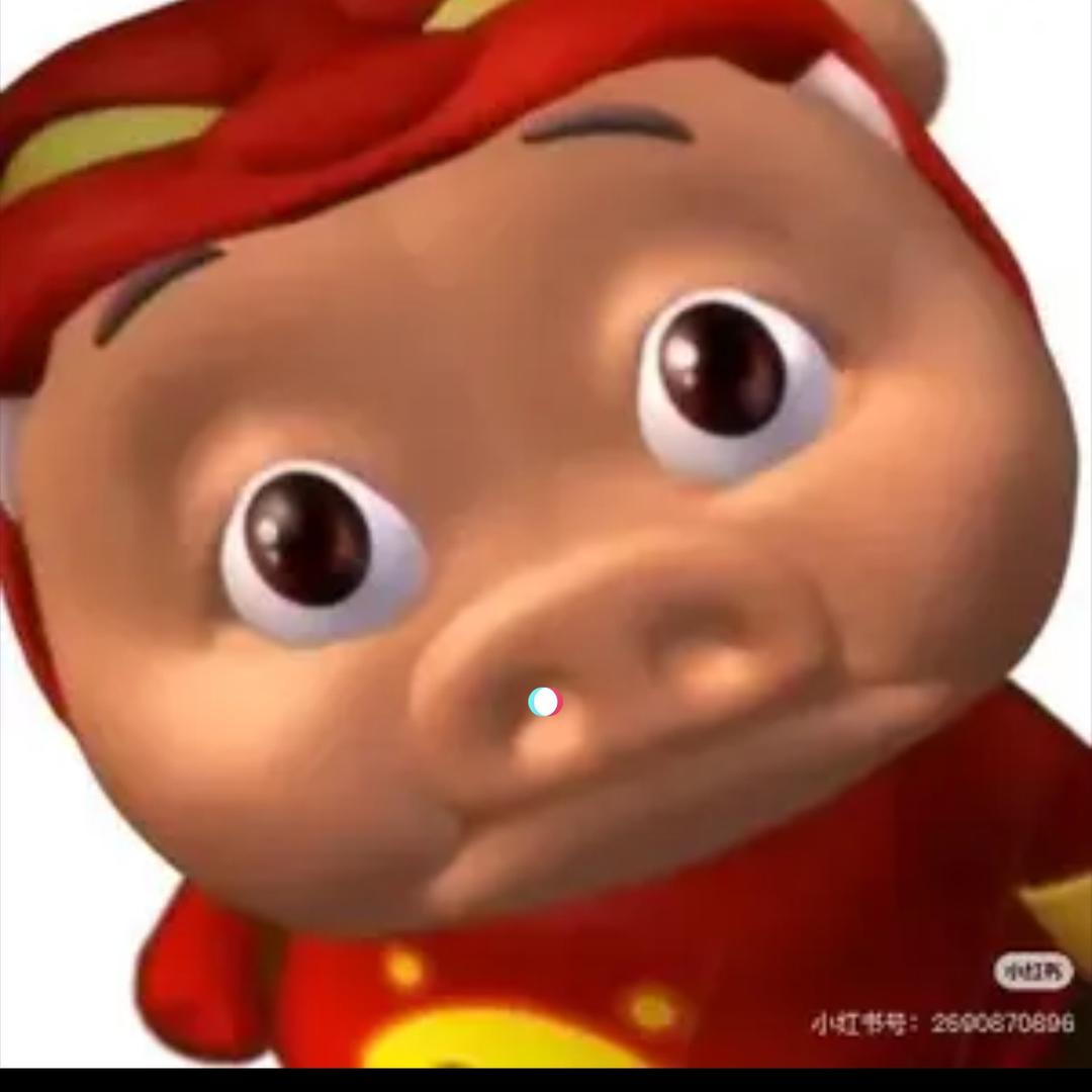 小虎😭