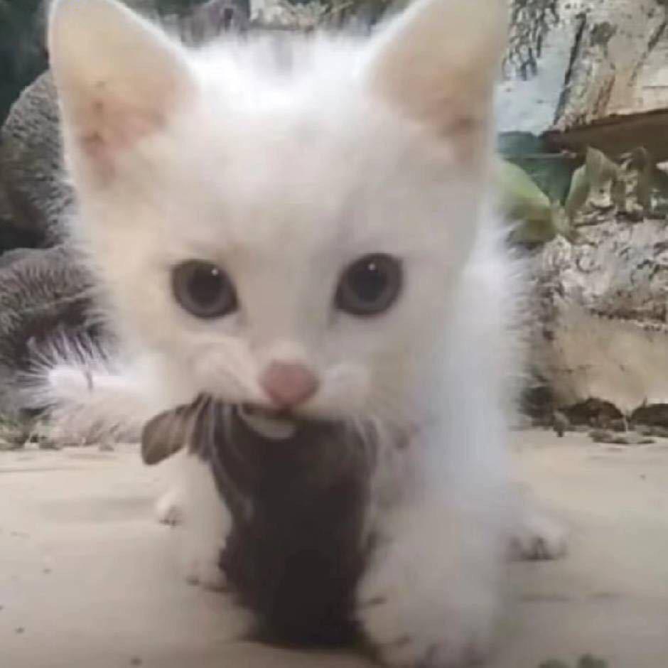 贵港奥斯卡酒吧预定 -77