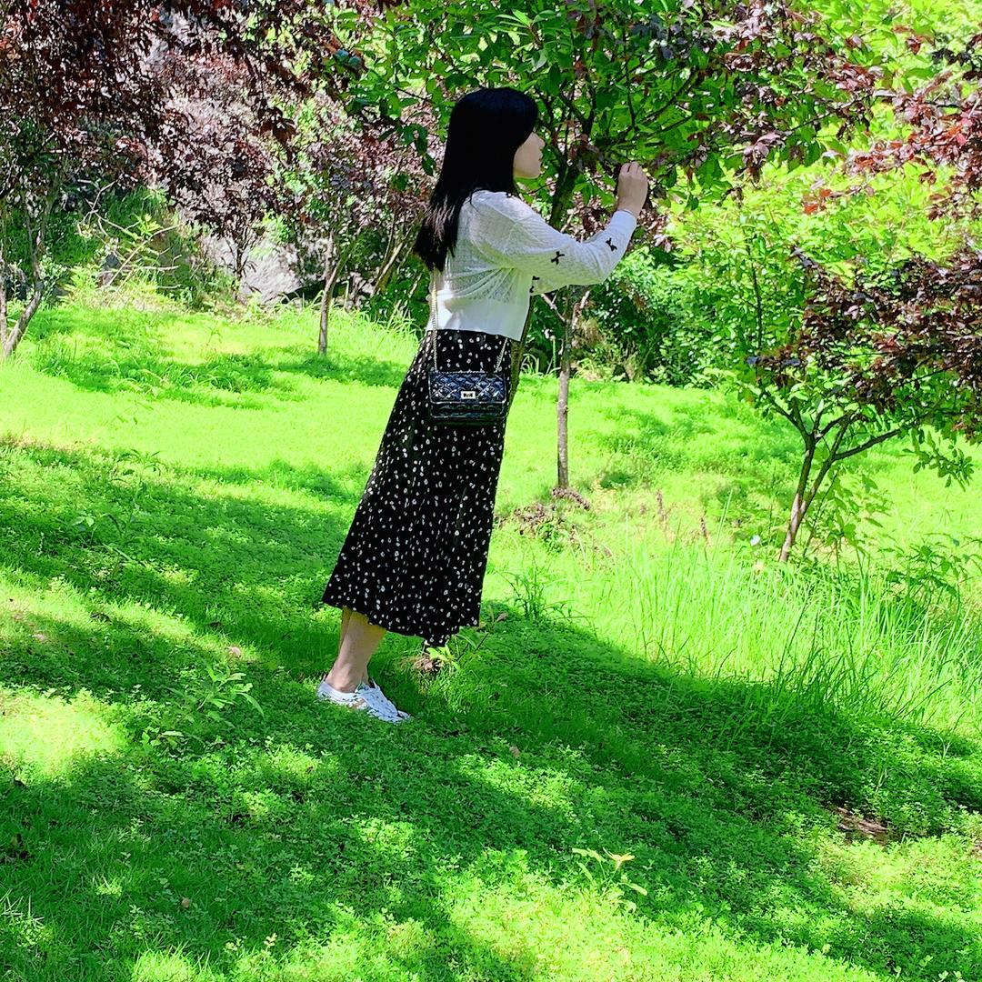 🌴一缕阳光✨