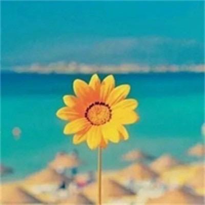 小仙女🧚‍♀️