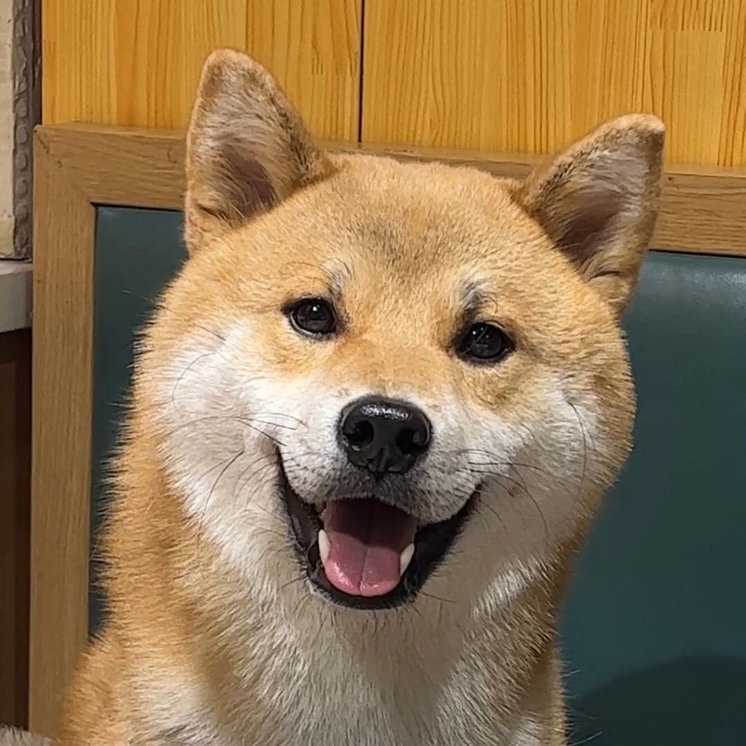 YY.