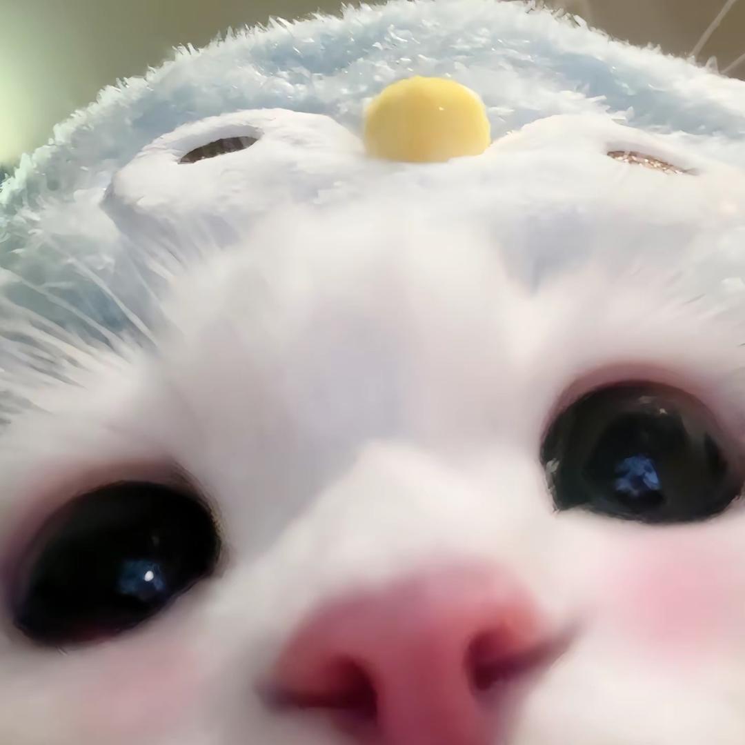 芸熙酱
