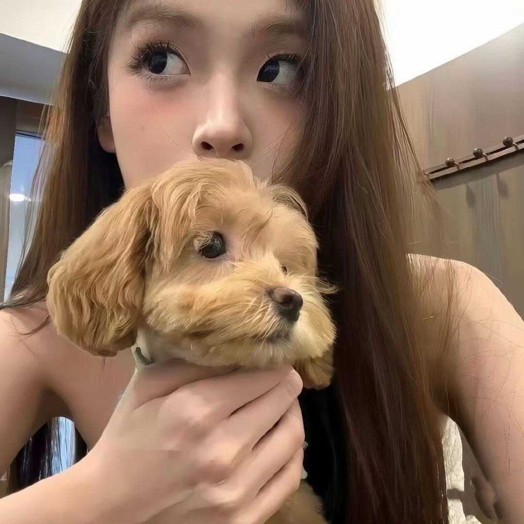 呼噜噜是只猪🐷