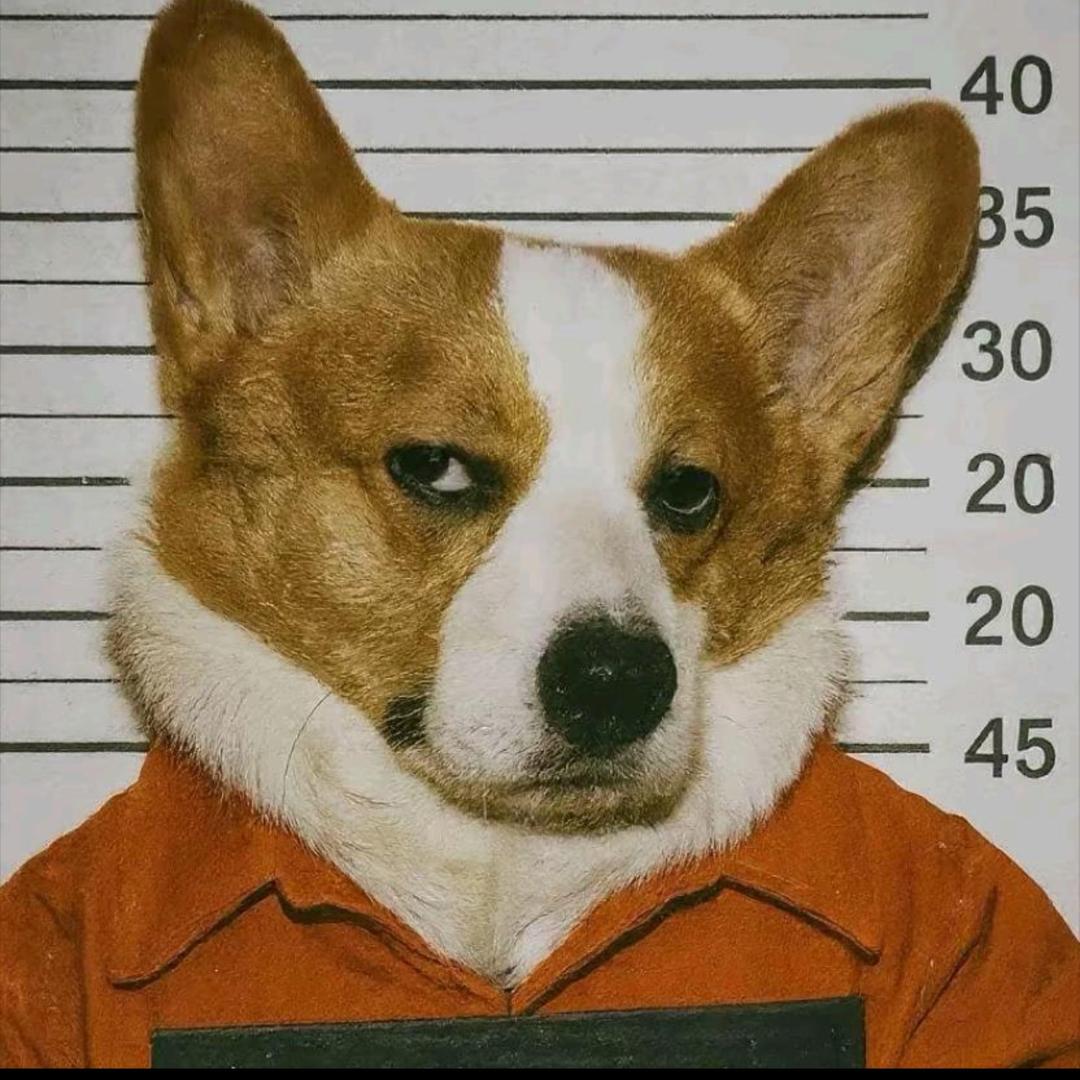 行。