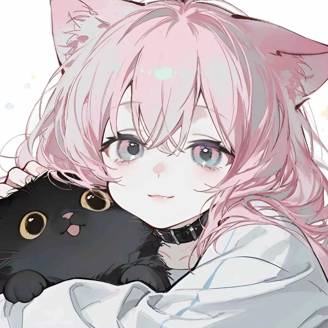 小能猫