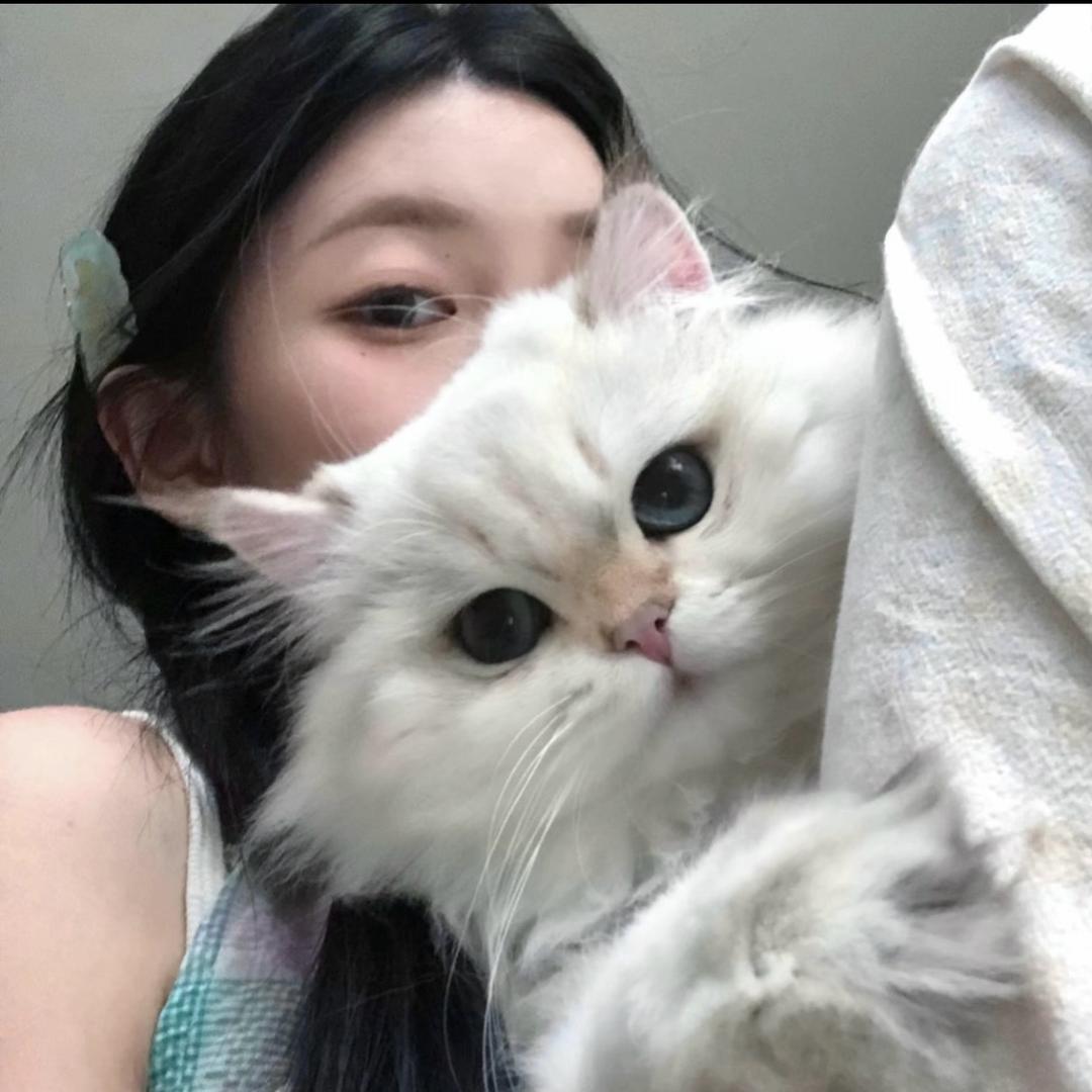 谢嘻哈哈-