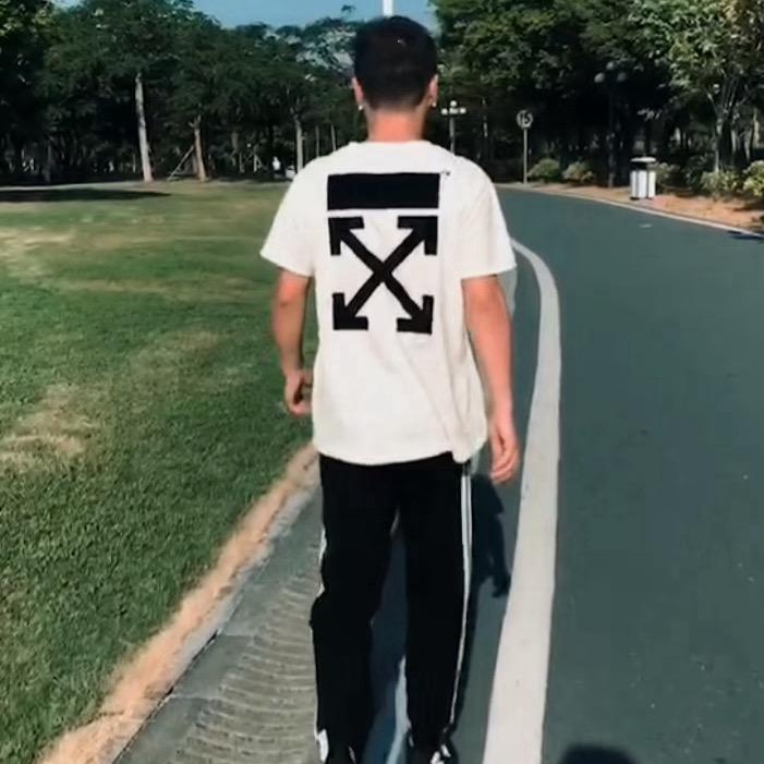 草没味的风
