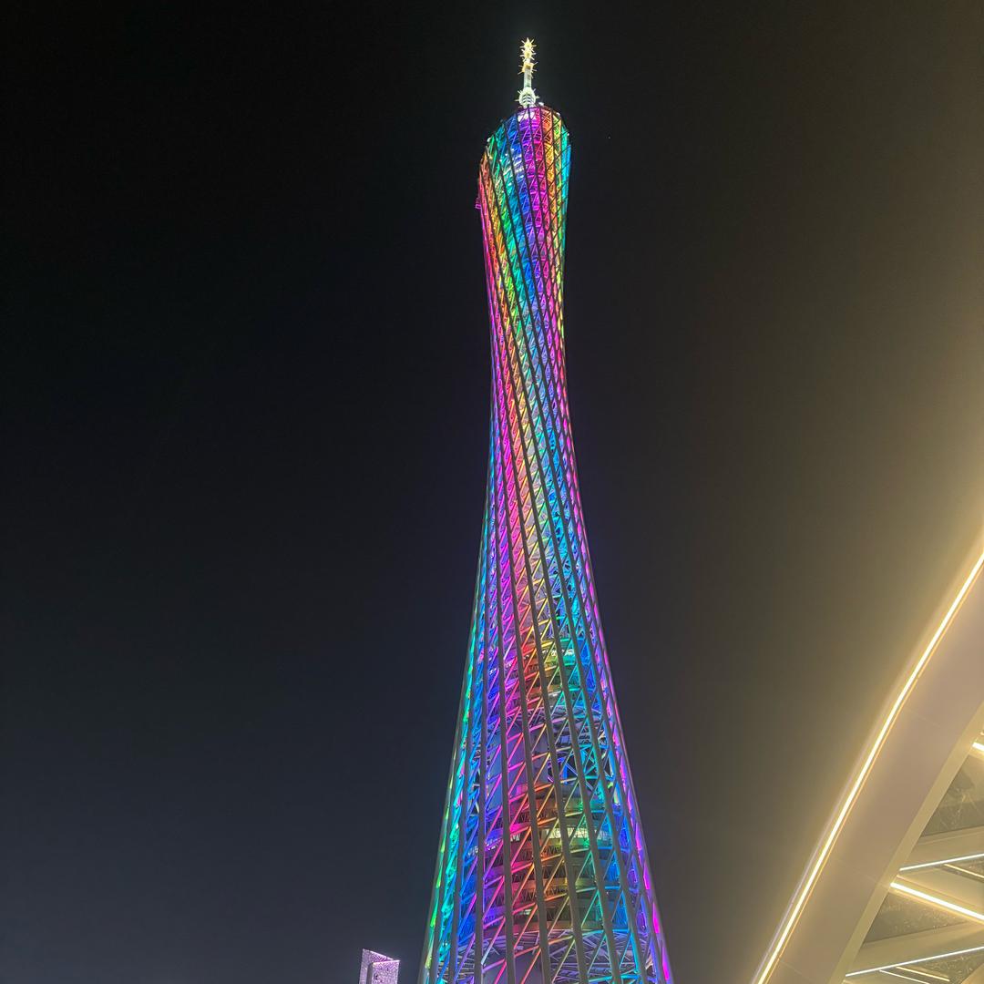蒙董