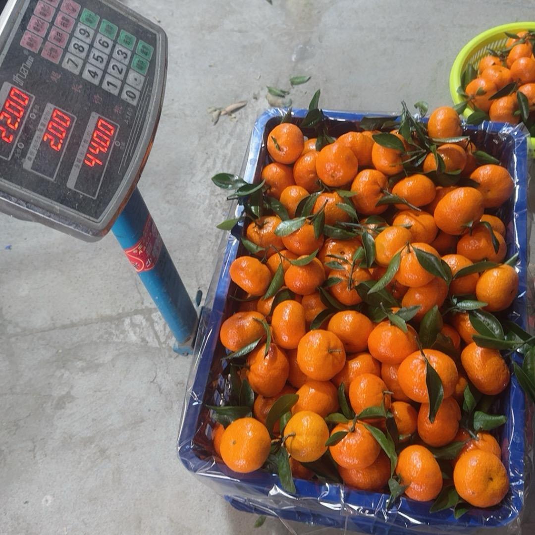 漂洋过海来捶你