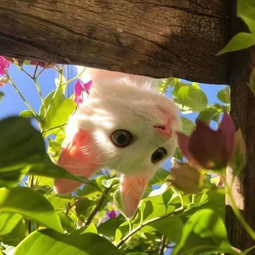 长眠、