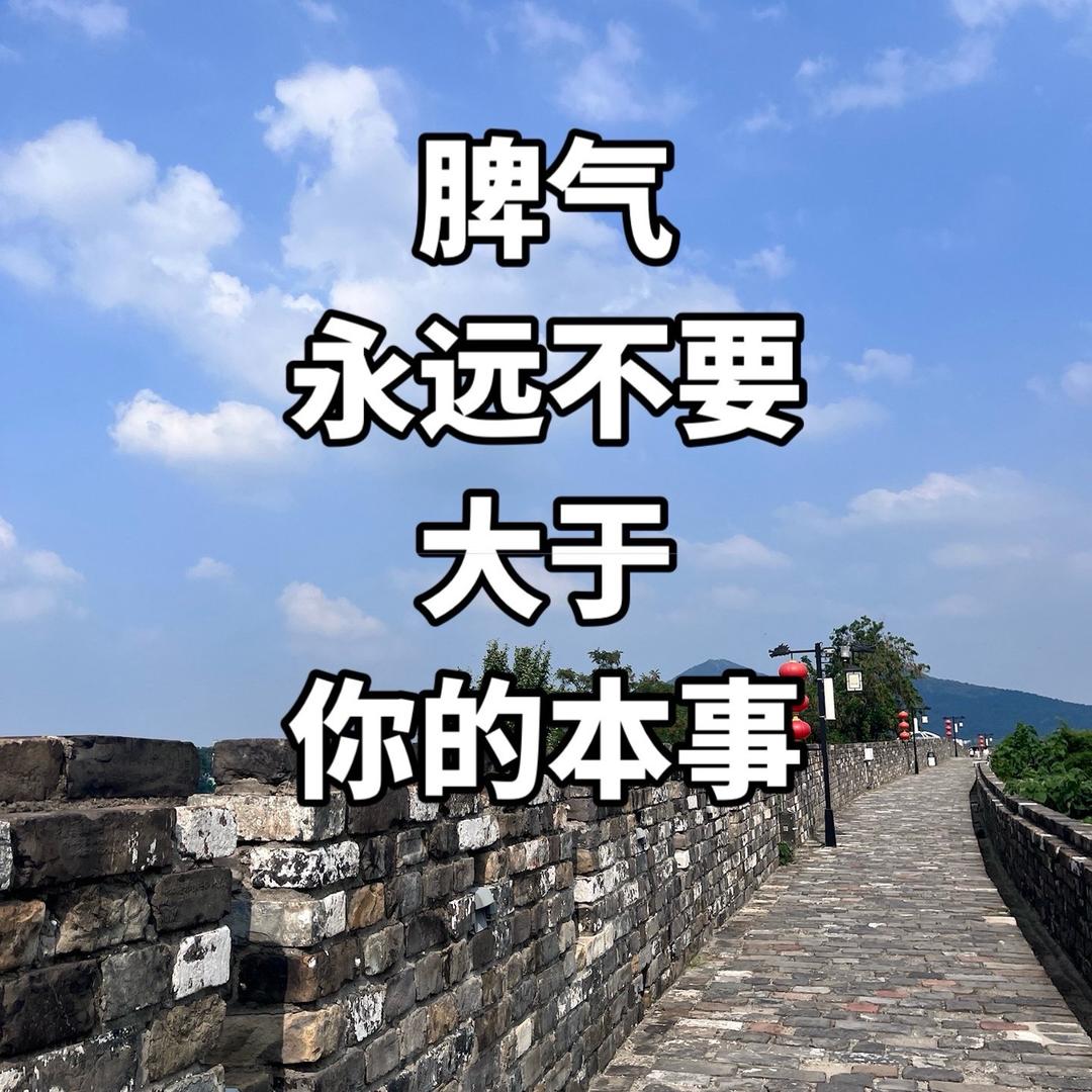 🍃余生🍃