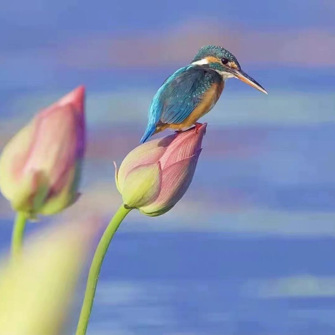 🐟时间不等人📿️