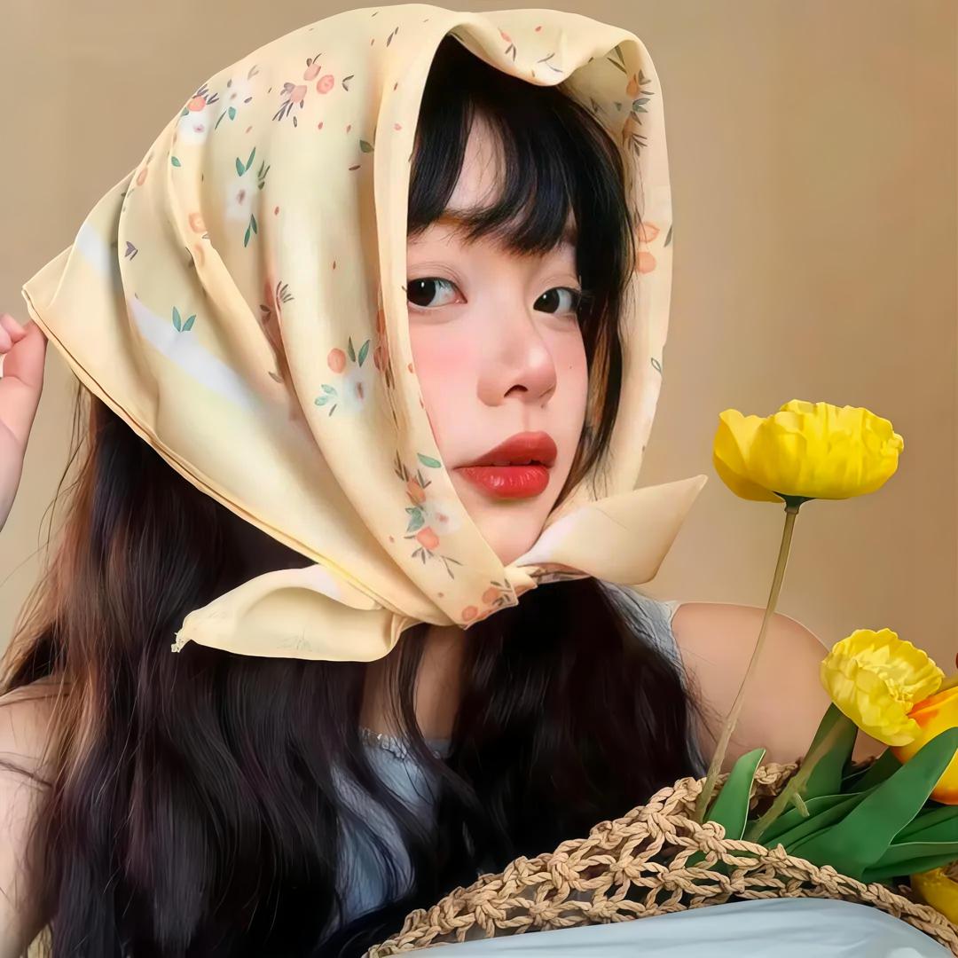 懒猫