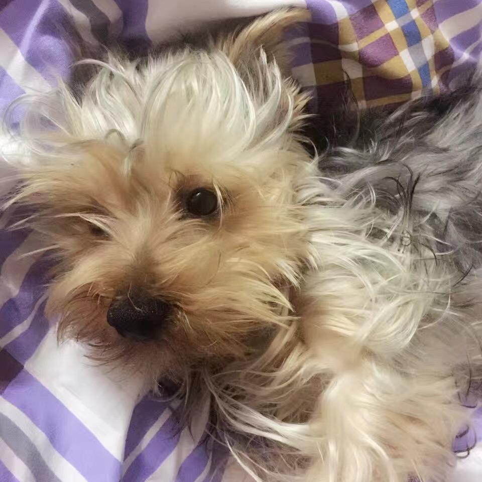 失踪人口查找处