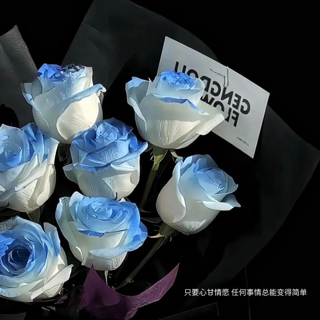 悠悠❤️