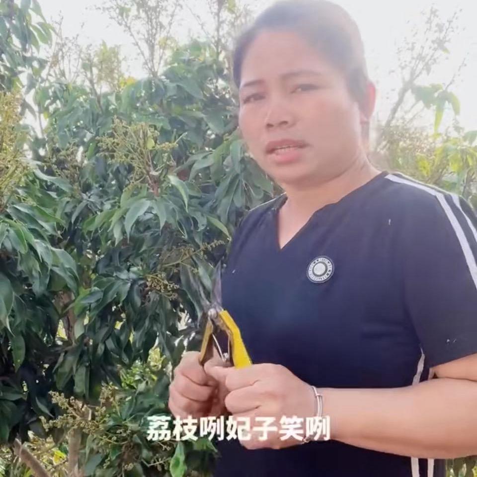 lingjie