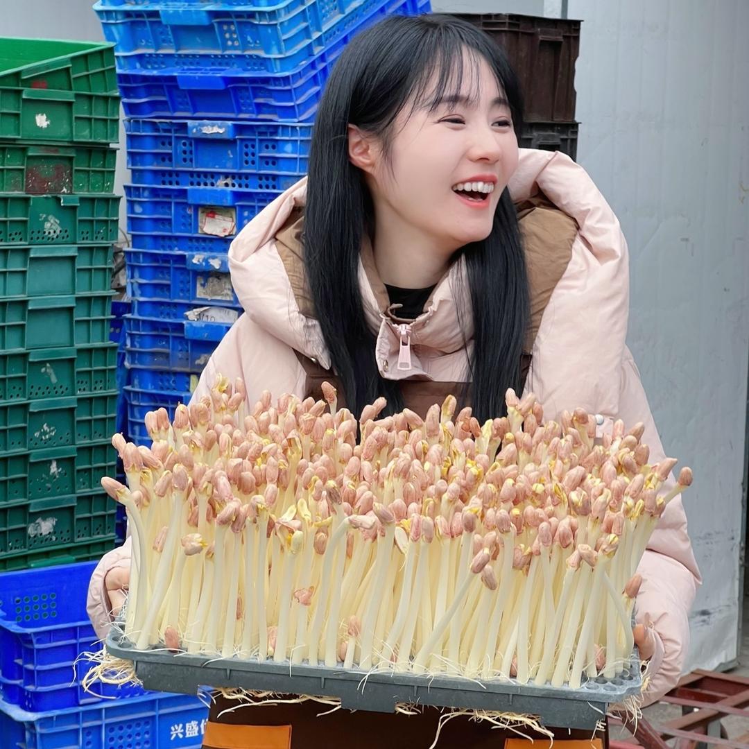🌸朵总