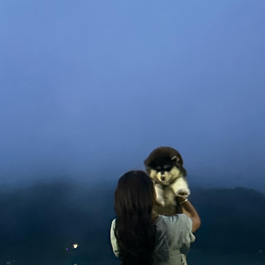 🥰思念老杨的小🐏(不脱妆粉底液)