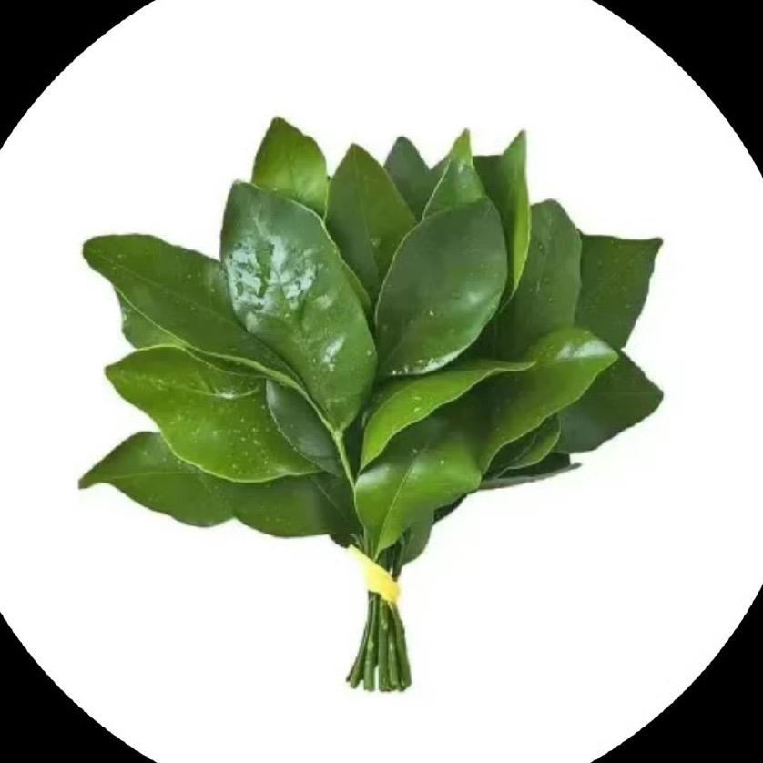 随便玩玩