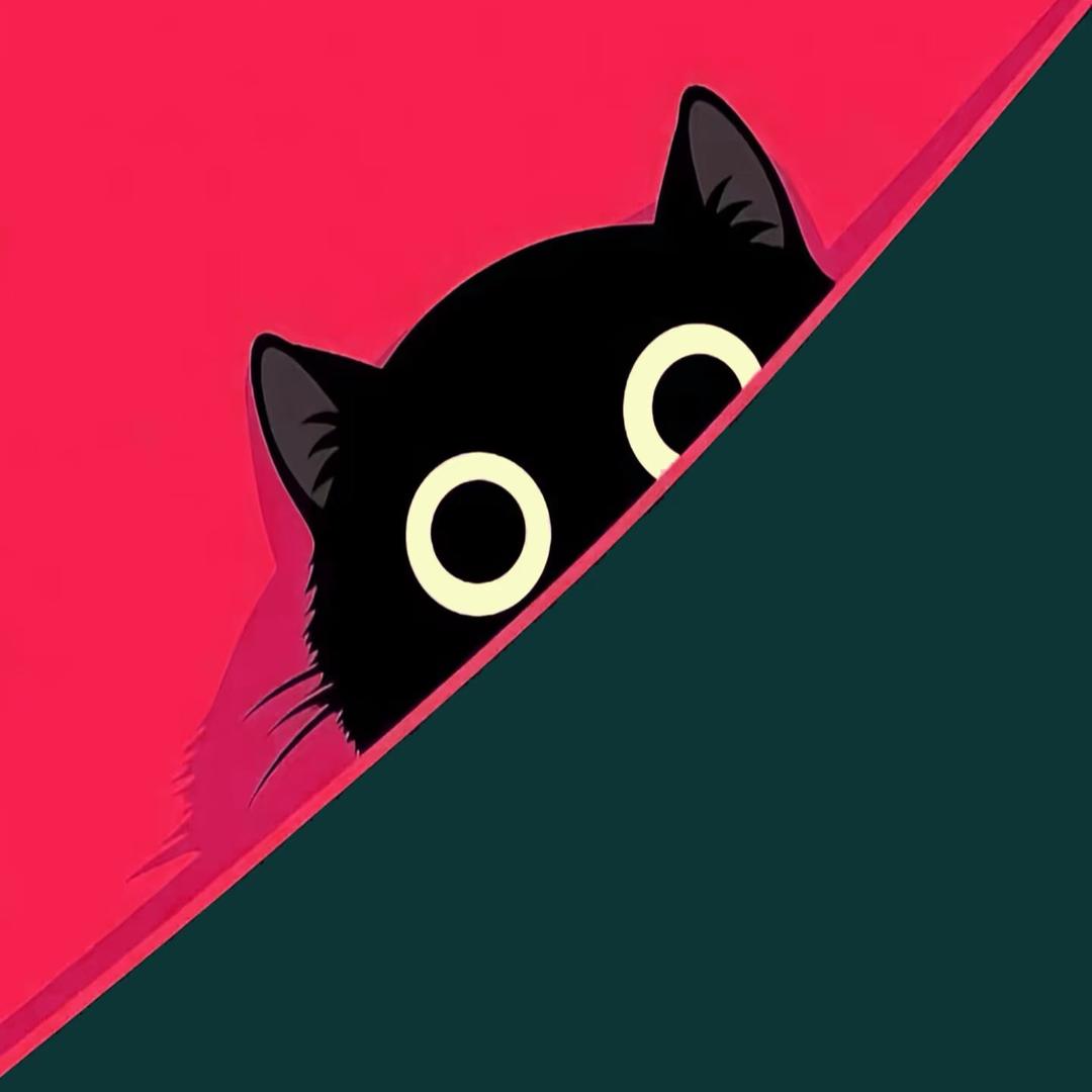 小小小小🐱