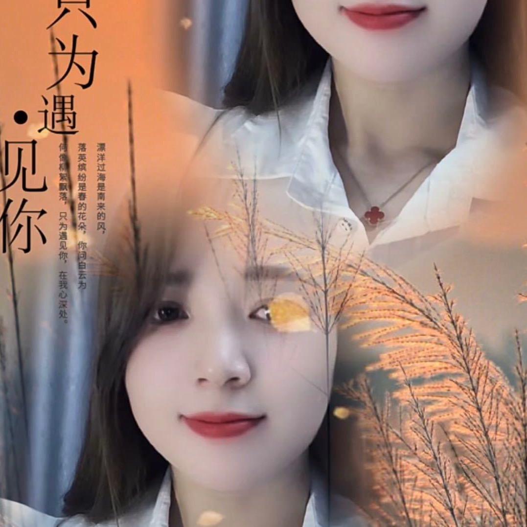 小月琴