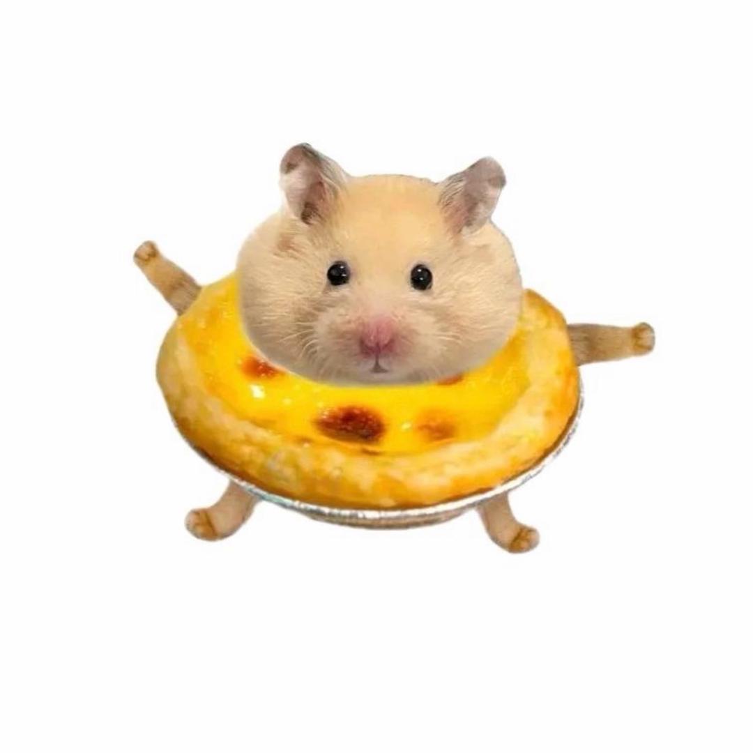 不会说话的蛋挞