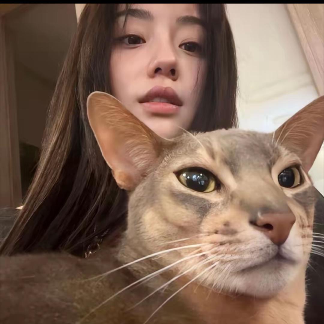 只是陆过