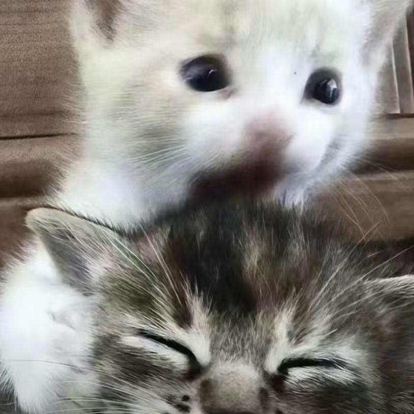 尒