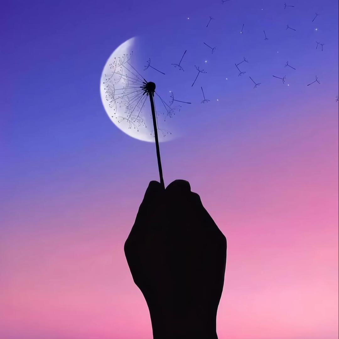 -李不懂🌿