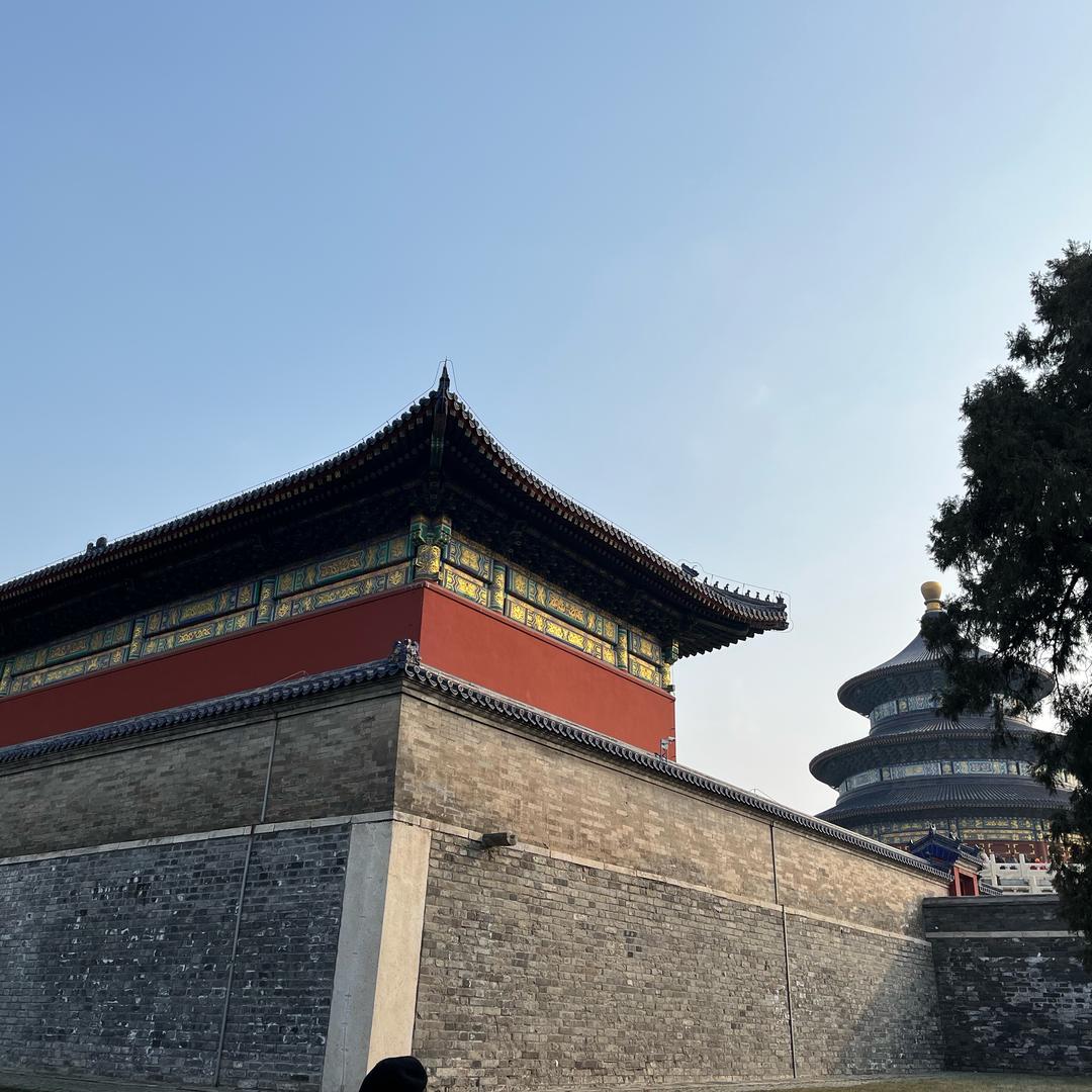 彤宝宝