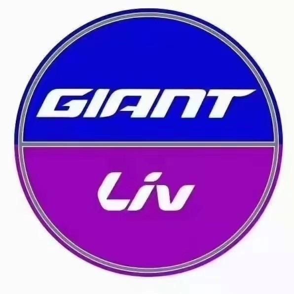 捷安特 郑州经南一路店