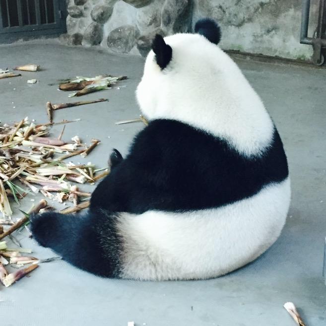 东了个东