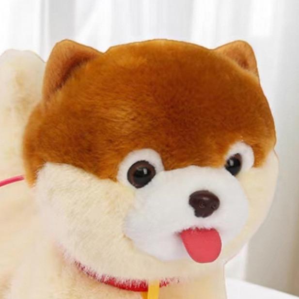 皮皮鲁和鲁西西