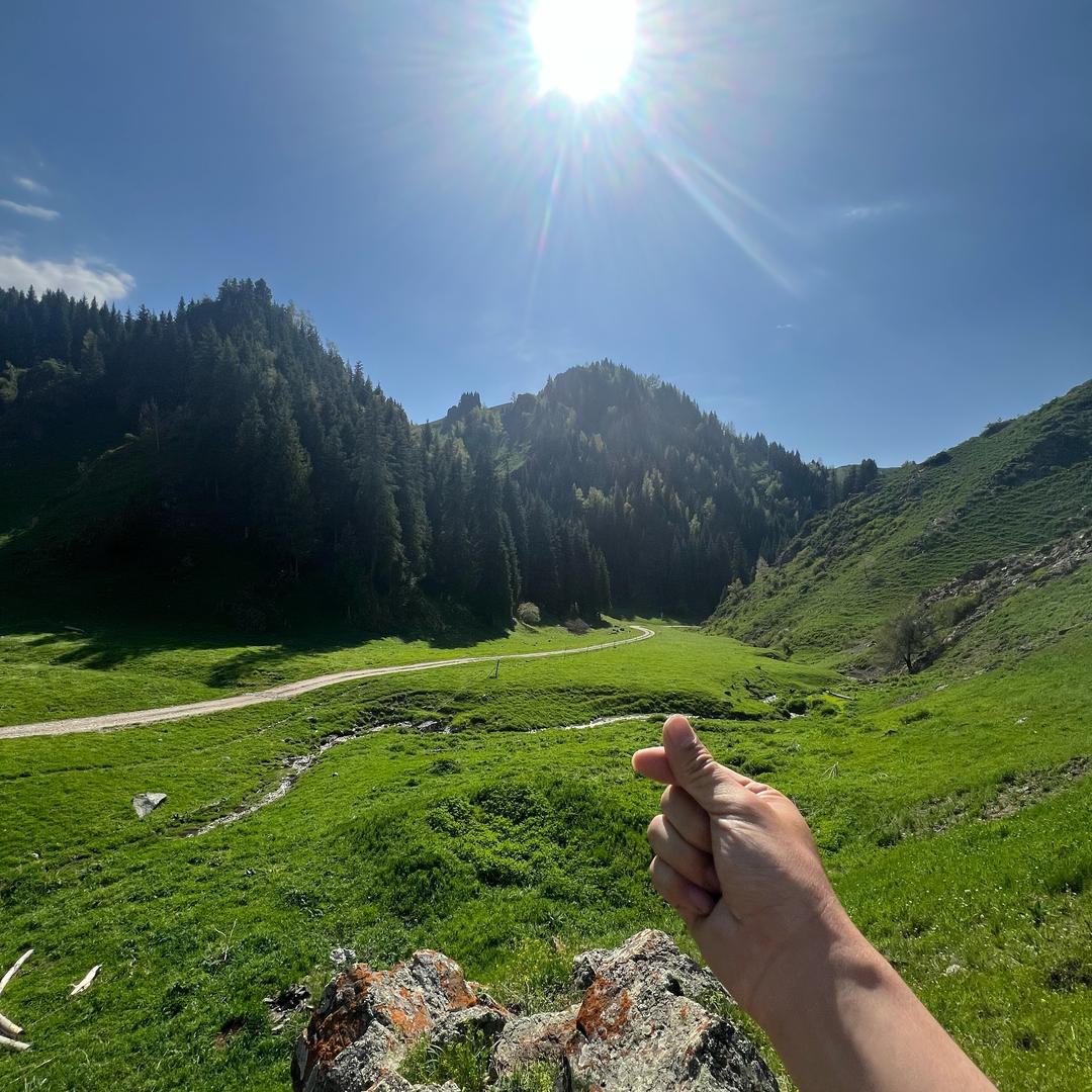 ༺༃羽༒辰༃༻